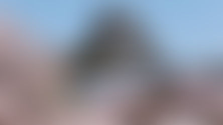 Himeji & Kumamoto Castle.