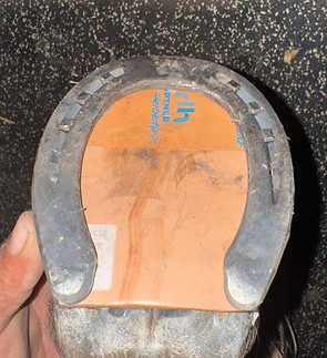 bdb332e1-ba4b-46d9-9531-642e3800782e_edi