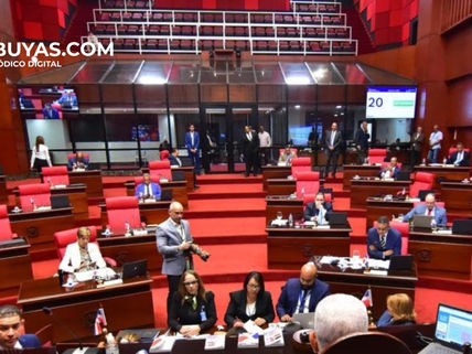 El Senado designa una comisión para seleccionar a los miembros de la JCE.
