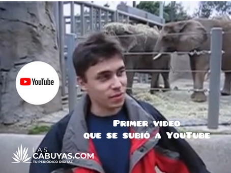 YouTube cumple 20 años: este fue el primer video se subió , un elefante en el zoológico, supera los 348 millones de reproducciones.