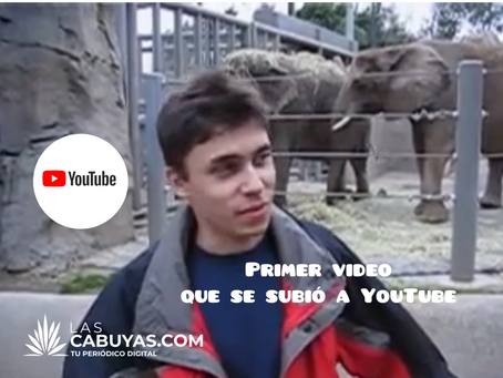 YouTube cumple 20 años: este fue el primer video se subió , un elefante en el zoológico, supera los 348 millones de reproducciones.