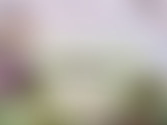 Pacientes psiquiátricos padecen en las cárceles, viviendo en condiciones insalubres.