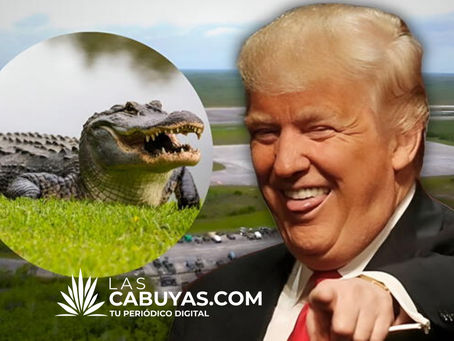 “Trump se burla de los migrantes con comentario sobre enseñarles a escapar de un caimán en ‘Alligator Alcatraz’.”