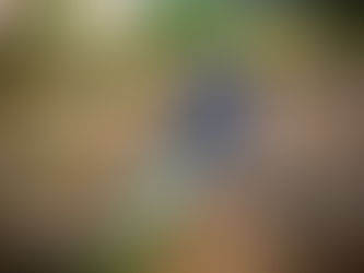 El desafío del sector agropecuario: abastecer a 24 millones de consumidores.