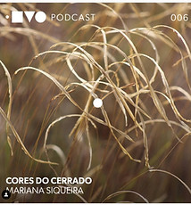 WhatsApp Image 2022-04-19 at 11.18.05 AM.jpeg