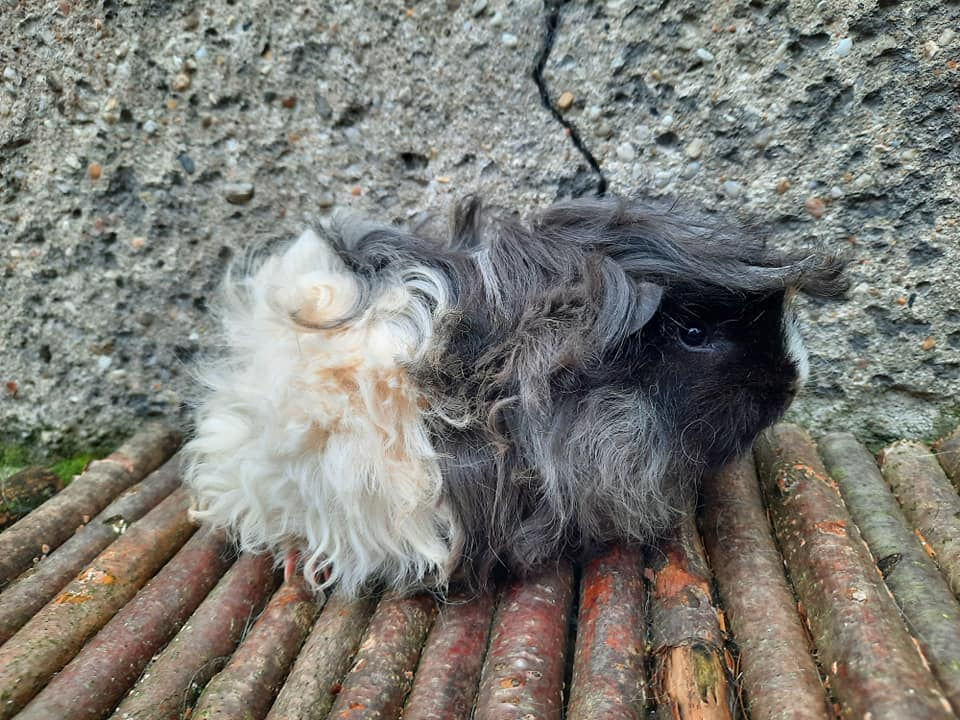 272789148_5404982406185112_1466584547353188297_n