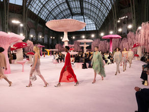 Dev Mantarların İzinde