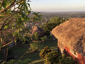 Mayan Blessings have Immaculate Timing