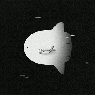 200508_molamola_thumbnail.gif