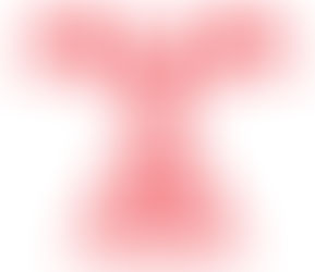 Личный прием и консультация