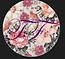 Logo Pagina Web.png
