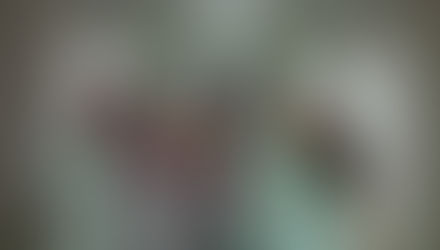 III Simpósio de Ensino, Extensão, Inovação, Pesquisa e Pós-Graduação e 22º Seminário de Iniciação Ci