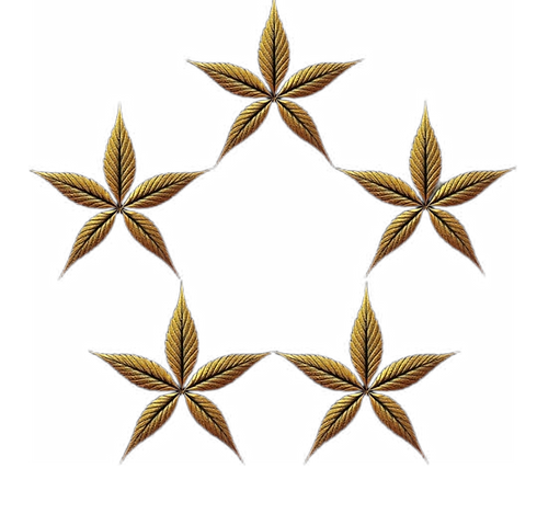 GENERALSCORELOGO.png