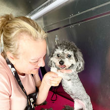 A Lilly's mobile dog grooming team poses with a dog, maltese