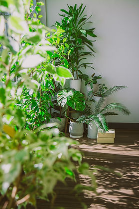 インストラクターコースお申込み/お問合せ|横浜、元町・中華街にあるヨガスタジオ studio Sahana|プライベートのヨガクラスのみならず、インストラクター資格コース、養成講座