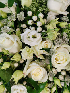 Blumen Farbinspiration & Blumenarten