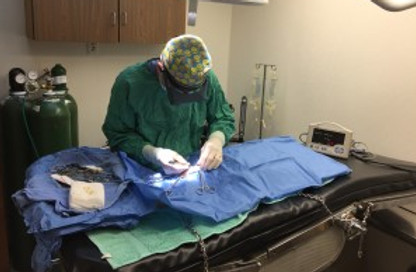 Surgery1.jpg
