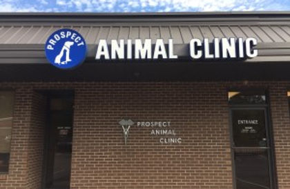 clinic_site1.jpg
