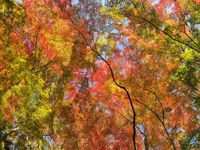 理解する前に、届いていたもの