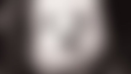 Poem Don't Buy a Dog