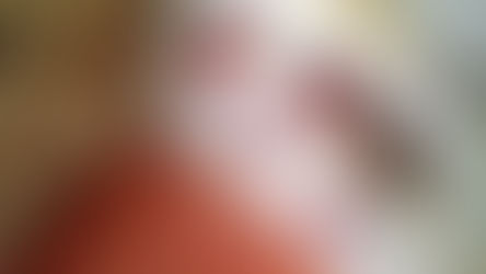 Pão Caseiro Recheado / Para Fazer e Vender