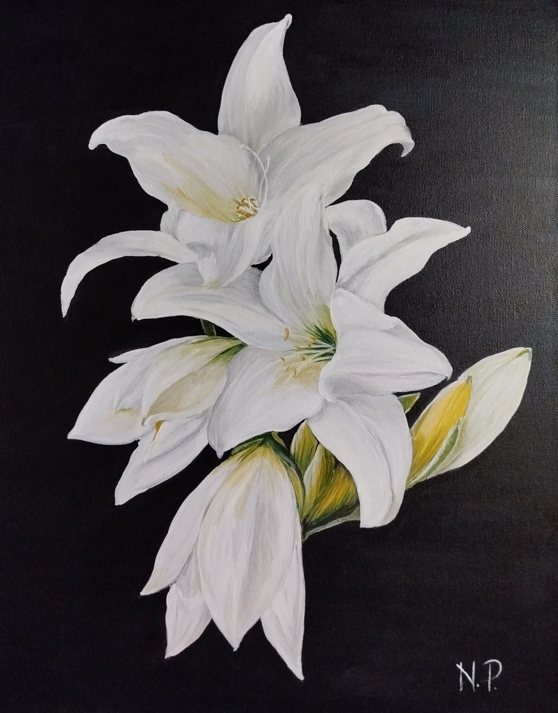 „Baltoji karalienė“ – Neringa Petrošiūtė, akrilas ant drobės