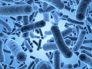 Cooperazione Italia-Egitto per risposta coordinata a resistenza antimicrobici