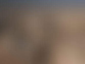 Yemen: la guerra che non fa notizia