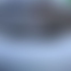 Commissario Ue per l'Energia atteso ad Algeri 