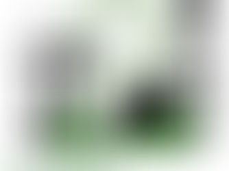 Lega Araba condanna attacchi iraniani contro Emirati Arabi Uniti, e gli altri Stati Arabi.