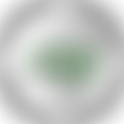 Iran: Lega Araba condanna gli attacchi contro i Paesi Arabi