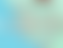 Speciale energia: Emirati al Forum “Accelerated partnership for renewables”