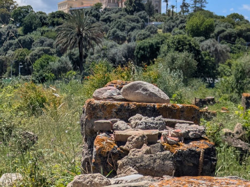Sulle strade dell’Algeria: un viaggio tra amicizia, memoria e pace