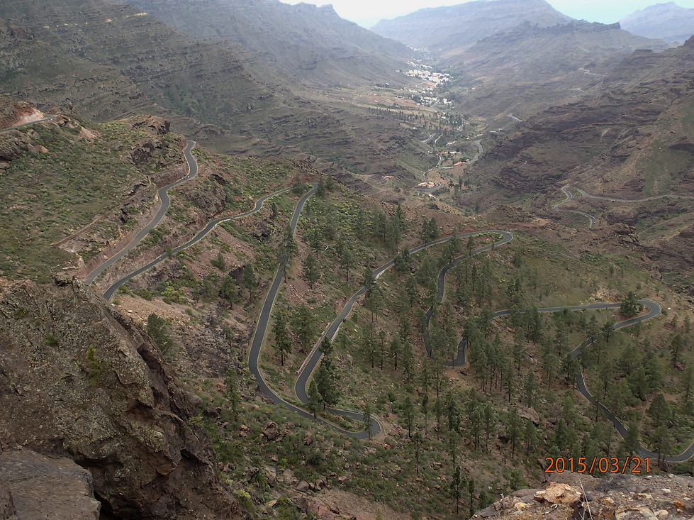 2015-03-21 12.25_edited.jpg