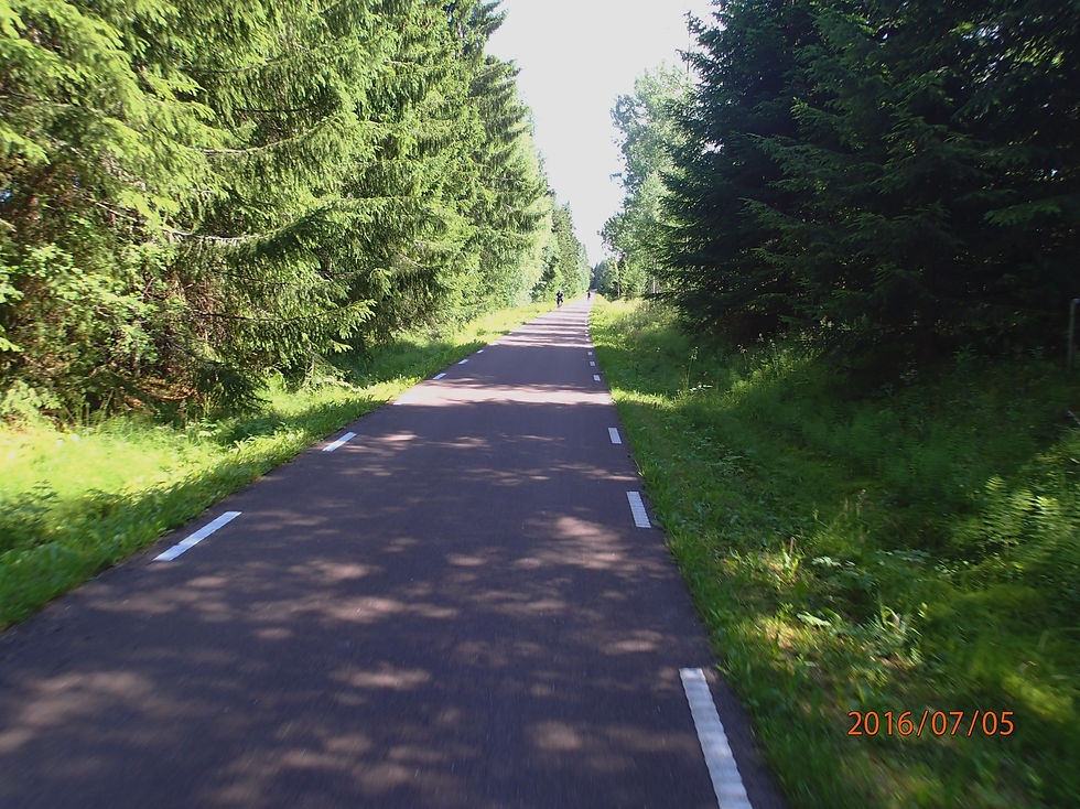 2016-07-05 15.10_edited.jpg