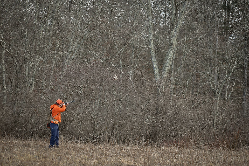 DSC_3349.jpeg