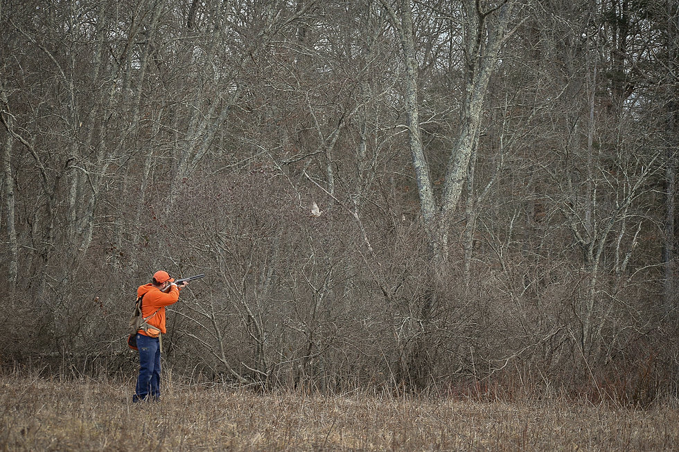 DSC_3349.jpeg