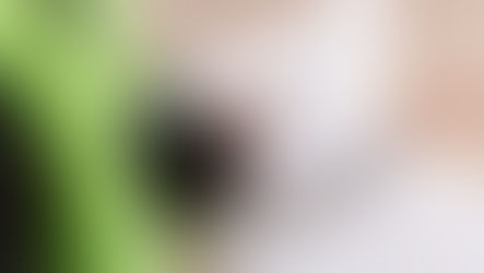 Post-Purchase Snagging: What to Check After Moving In