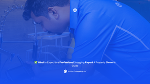 ✅ What to Expect in a Professional Snagging Report A Property Owner’s Guide