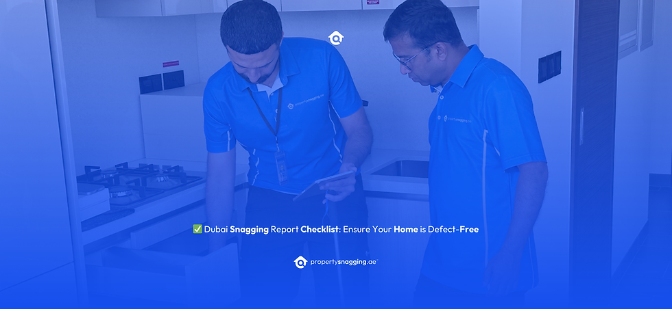 Snagging Report Checklist