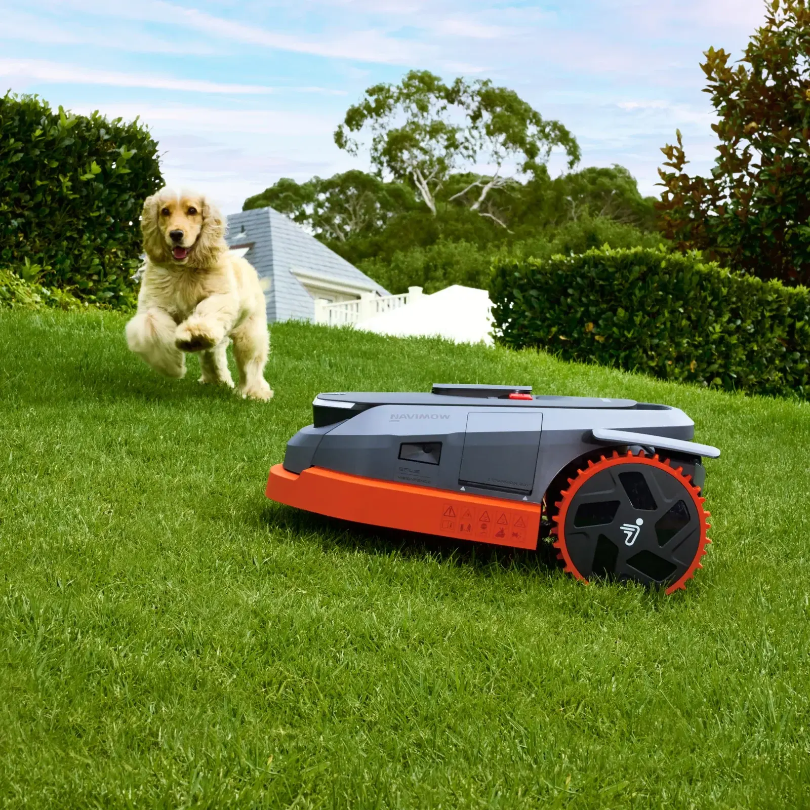 Segway X350 1.5 Acres