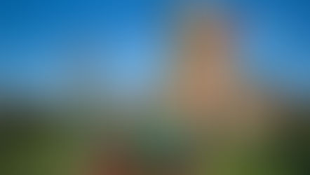 Para ver en 360. El valor olvidado del viejo molino Forclaz, en Entre Ríos