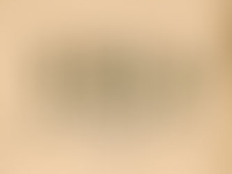 De jardines interiores, desastres higiénicos y fantasmas evolutivos