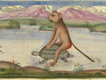 El jardín de mi tía Lupe