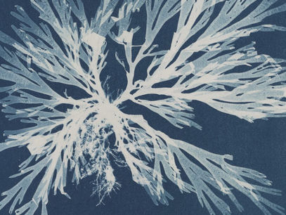 Las especulaciones sonoras de Max Richter