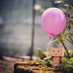 #danbo #baloon