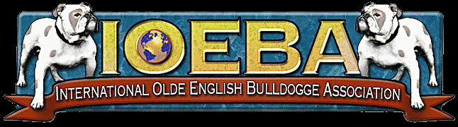 ioeba banner_edited.gif