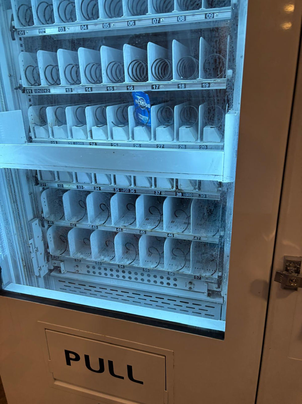 WhatsApp Image 2026-01-15 at 5.47.37 PM (2)