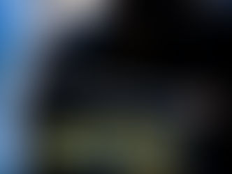 Harry Potter and the Chamber of Secrets - Review