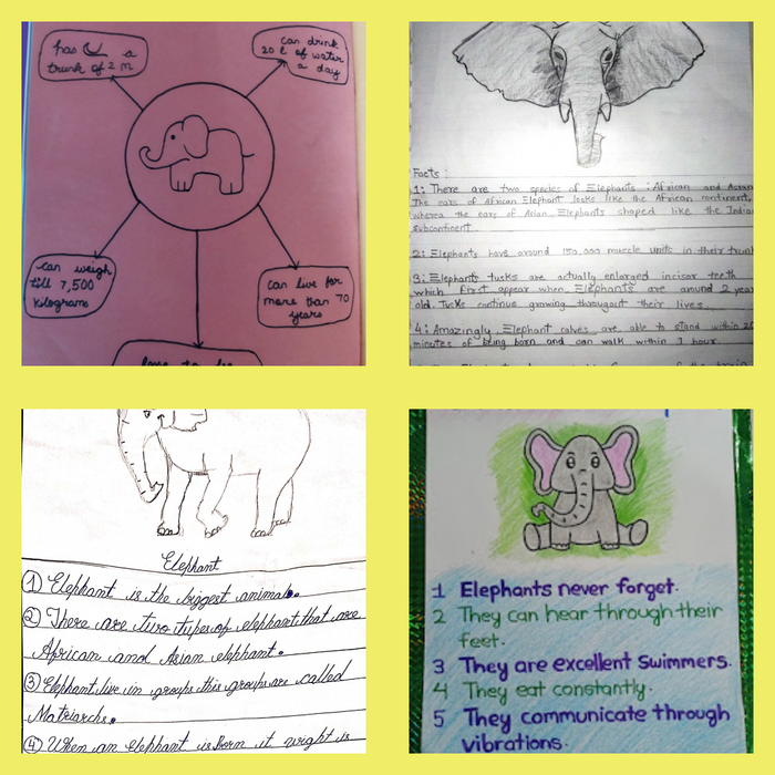 7C- Facts on Elephants 2.png